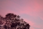 DSCF7967