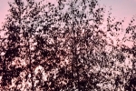 DSCF7973