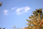 DSCF7989