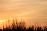 abendrot-gras-5145