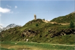 steinadler-alpen-pass