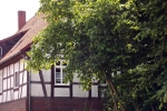 fachwerk-baum