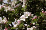 dscf7257