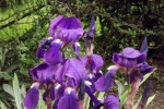 dscf7365