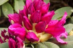 dscf7390