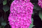 dscf7593