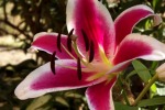 dscf7678