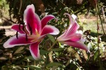 dscf7679