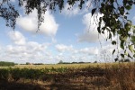 dscf7745