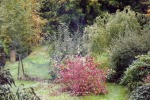 9721-farben-im-fruehen-herbst