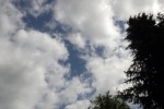 9622-wolken-baum-riesig