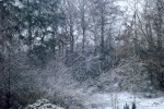 8473-verhschneit-kalt-dunkel
