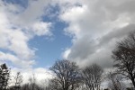 9104-wolken-himmel-kahle-baeume