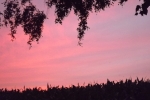 6272-himmel-wolken-rosa-blau-silhouette