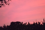 6273-himmel-wolken-rosa-blau-silhouette