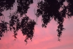 6274-himmel-wolken-rosa-blau-silhouette
