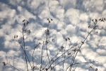 6482-wolke-himmel-blau-silhouette