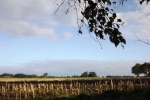 6508-feld-geerntet-himmel-wolken