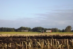 6515-feld-geerntet-himmel-wolken-trecker