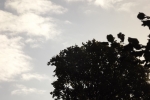 6516-himmel-blau-wolken-silhouette