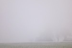 10035-gehoeft-im-nebel