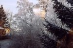 10060-morgen-sonnenaufgang-gefrorene-landschaft