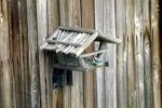 meise-sucht-korn-im-vogelhaus.jpg