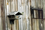 vogelhaus.jpg
