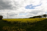 6007-gelbes-feld-wolken-sonnenschein