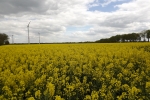 6010-gelbes-feld-wolken-sonnenschein