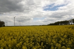 6011-gelbes-feld-wolken-sonnenschein