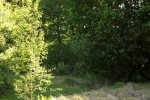 6061-wiese