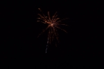 feuerwerk-blume-4533