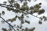 IMG_20140408_095609