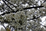 IMG_20140408_095614
