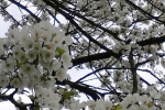 IMG_20140408_095621