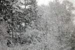 verschneit-4650