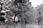 verschneit4695