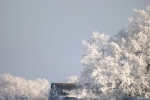 verschneiter-baum-und-dach-4749