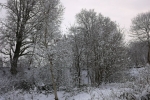 viel-schnee-4699