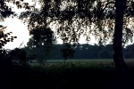 das-feld.jpg