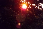 6240-sonnenaufgang-sonnenuntergang-aeste