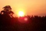 6241-sonnenaufgang-sonnenuntergang-wald-himmel