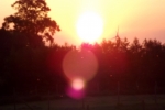 6242-sonnenaufgang-sonnenuntergang-wald-himmel-lensflare
