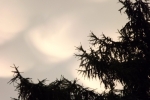 6252-himmel-wolken-zuckerwatte-tanne