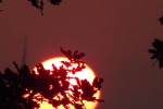 9328-sonnenaufgang-feuerball-zweig