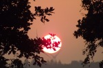 9329-sonnenaufgang-windraeder-baeume