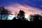 dunkel-hell-blau-rosa