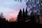 himmel-gluhen-baume