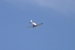 cessna-3912